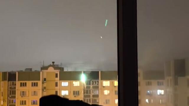 Куче се наслаждава на фойерверките