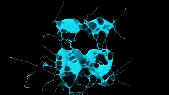 GoldFish - Fort Knox (Carlos Lamar Remix)