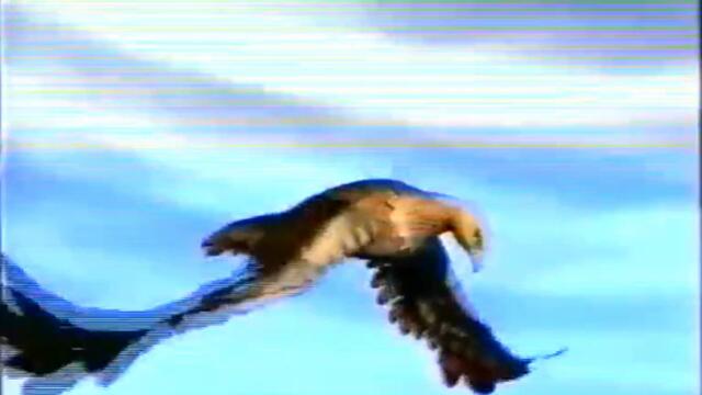 bandicam 2022-02-17 18-11-57-155