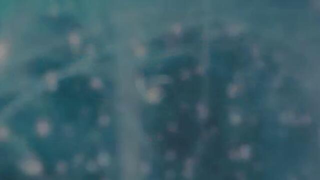 bandicam 2022-02-19 10-35-51-069