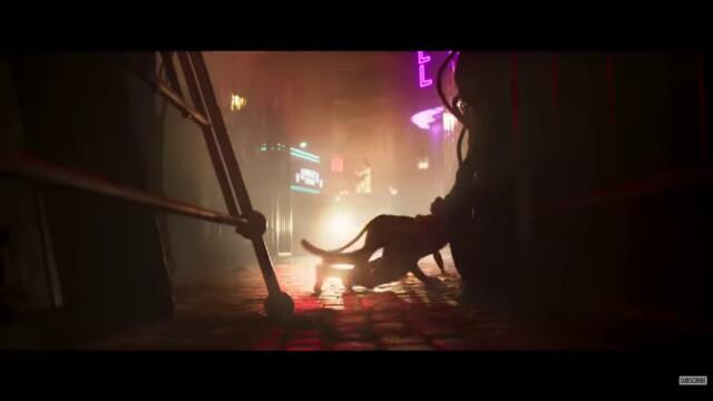 bandicam 2022-03-03 23-43-05-946