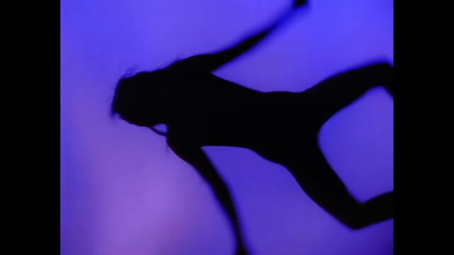 Suzanne Vega, DNA - Tom's Diner