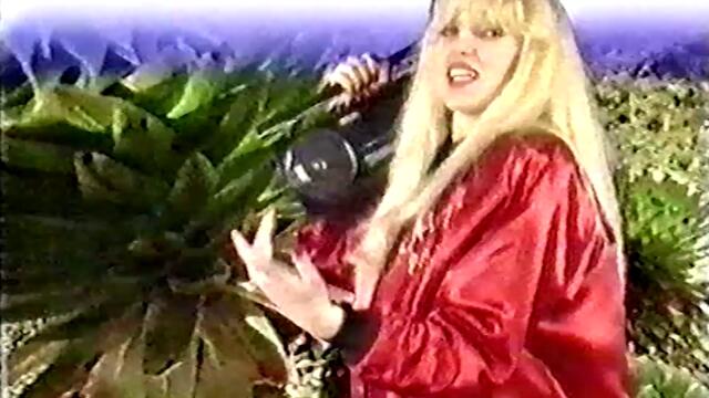 Branka Sovrlic - Ne mislim na sutra