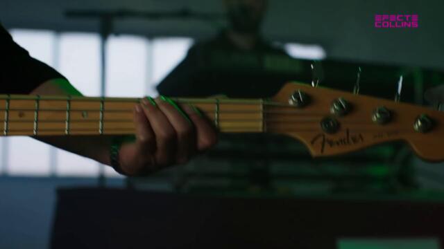 Zoo - "Tobogan" (Efecte Collins, 2021)