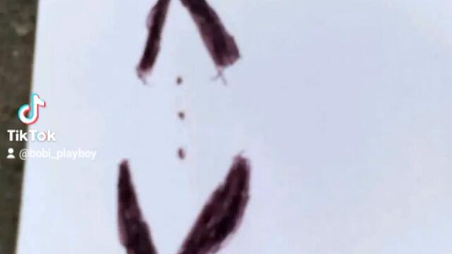 413697947a2a5acf8a29e1189fd78ab6