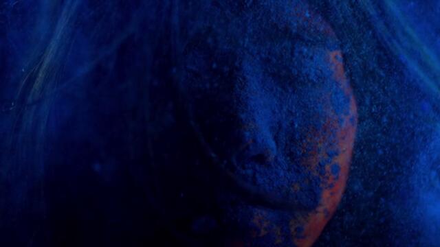 Агент Лъв  Le lion  (2020)  Бг Аудио Част 1