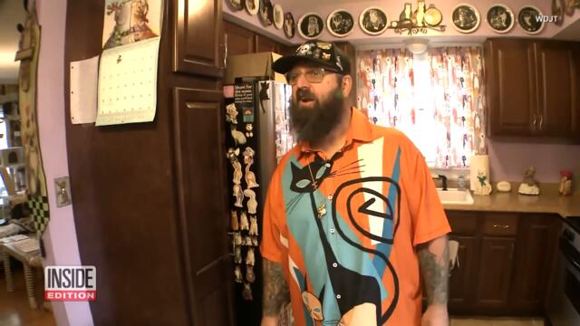 There Are Thousands of Cats Inside Cat ‘Mewseum’