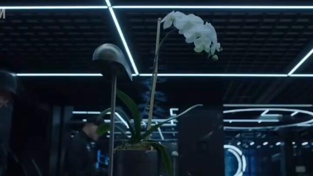 Сериал от Netflix, серии которого можно смотреть в любом порядке #сериал #чтопосмотреть #olyalolyaa