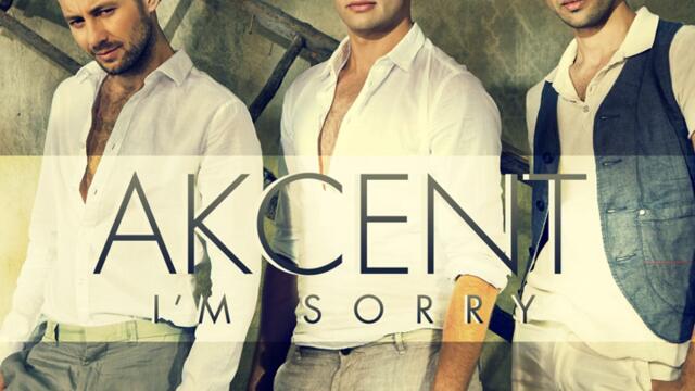 Akcent ft. Sandra N. - I'm Sorry (Audio)
