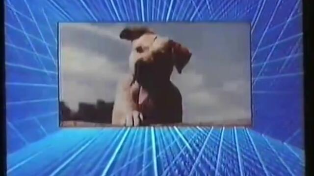 y2mate.com - Walt Disney Home Video PAL_480p