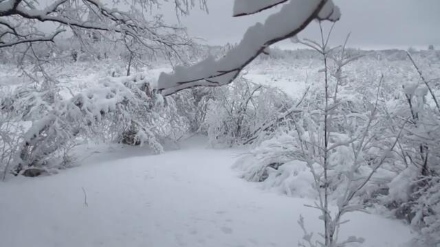 Adirondack Hermit Cabin - Snow Storm!