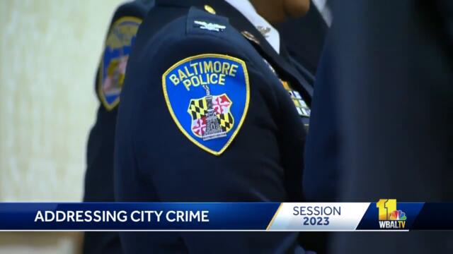 Bates, Harrison appear before Senate panel over gun violence