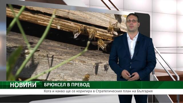 Кога и какво ще се коригира в Стратегическия план на България