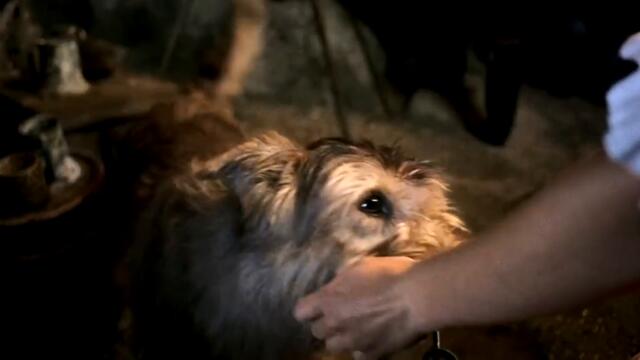 Disney's Year of a Million Dreams Commercial - 1080P