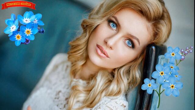 Сергей Одинцов - "Незабудки"