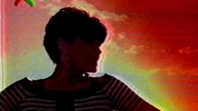 Zlata Petrovic - Proklet da je ovaj zivot - Palma spot