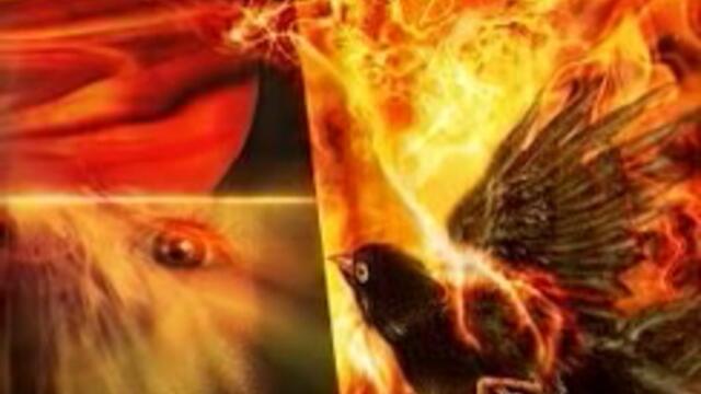 Thessera -  Party's On