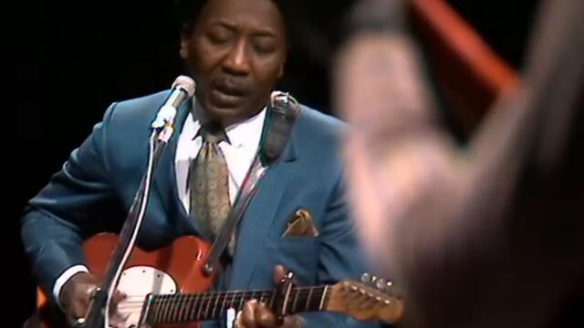 Muddy Waters - Honey Bee (1970)
