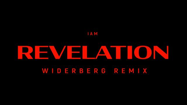 REVELATION (widerberg Remix)