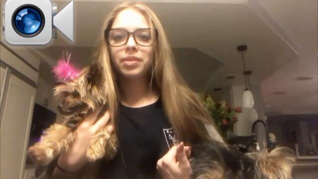 Peacocks, Pigeons and Other Birds Who Behaved Badly