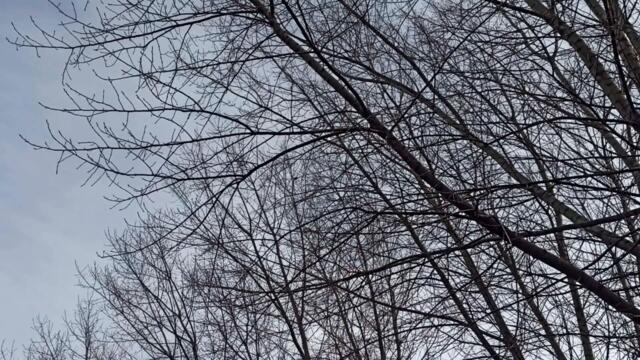 Полнолуние 5 февраля 2023. ОПАСНЫЙ ПЕРИОД .Что ждать. Чего опасаться.. Что делать нельзя.