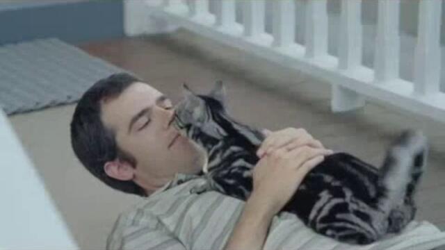 Cat - Whiskas Dry - Vbox7[via torchbrowser.com]