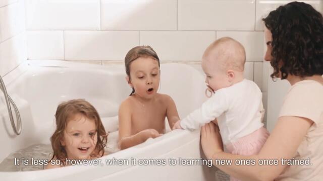 The sleep of artificial intelligence