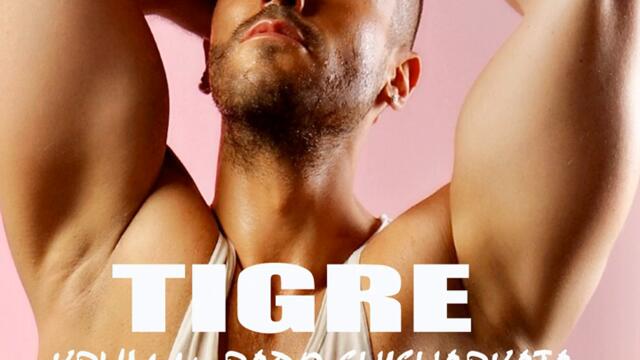 Крум ft. Радо Шишарката - Тигре (Audio)