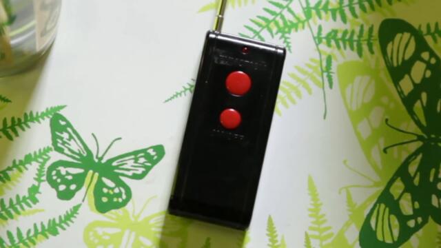 doubleVee: Frucus Minus [The Flycatcher]