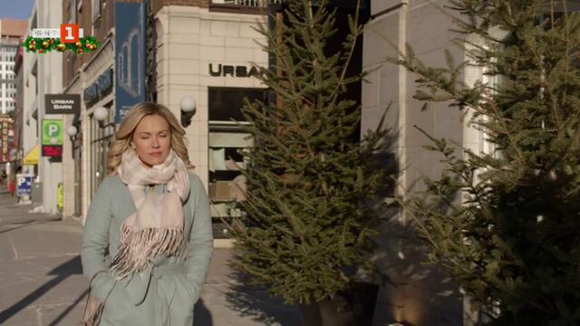 Леденият замък Winter Castle   (2019)   Бг Аудио Част 1