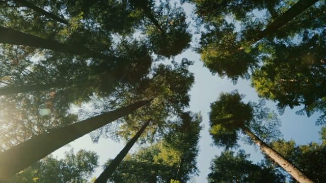 BioLargo Engineering, Science & Technologies: full-service environmental engineering and products