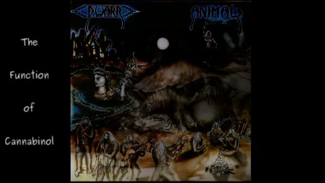 Dwarr   Animals 02   The Function of Cannabinol