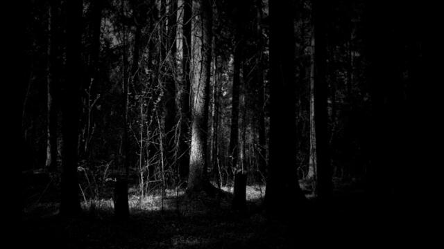 Axis & Trank - The Scent (Current Value Remix)