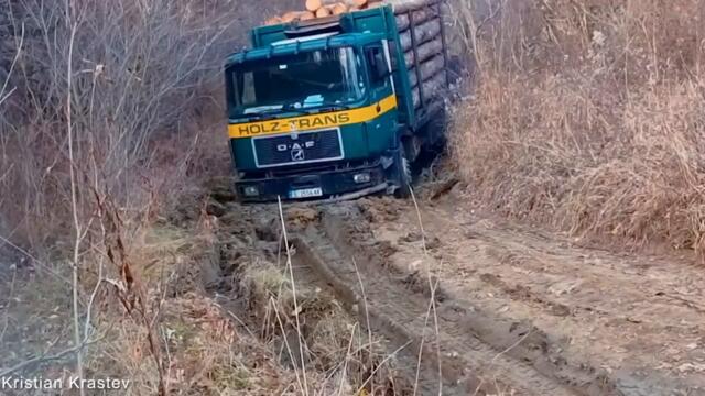 Timber trucks MAN, TATRA, IVECO, MERCEDES, DAF