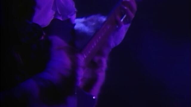 Prince and The Revolution - Purple Rain (Live in Syracuse, March 30, 1985)