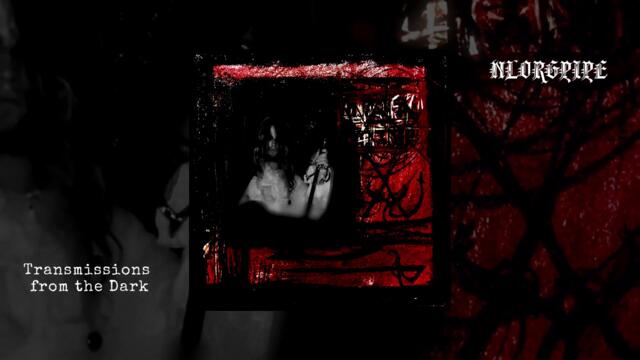 NLORGPIPE - WOLFMAN IS SENT TOWARD THE ENEMY (single, 2022)