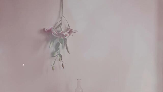 Finally - Macie Stewart [Official Video]