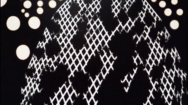 Strange Familia - honey. Lyric Video