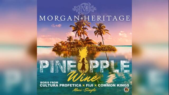 Pineapple Wine (Island Remix) - Feat. Fiji & Common Kings