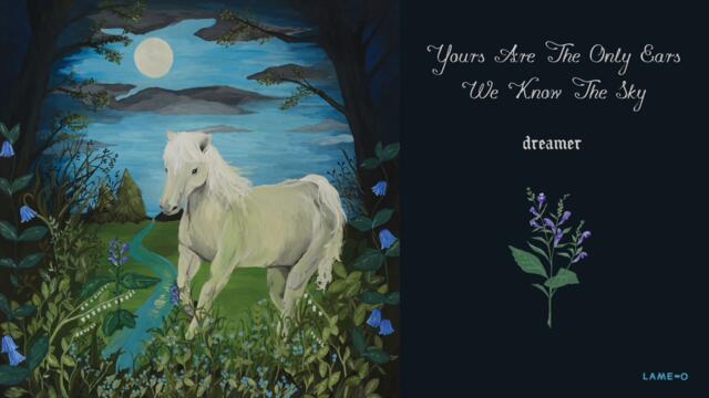 Yours Are The Only Ears - Dreamer