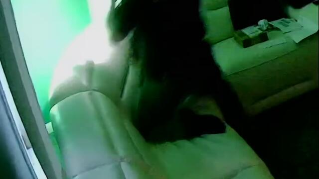 Afroman - Why You Disconnecting My Video Camera (Official Music Video)