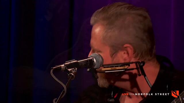 Snakes | Guy Forsyth