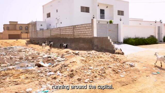 Exploring the Biggest Camel Market in the Sahara (NOUAKCHOTT, MAURITANIA 🇲🇷)