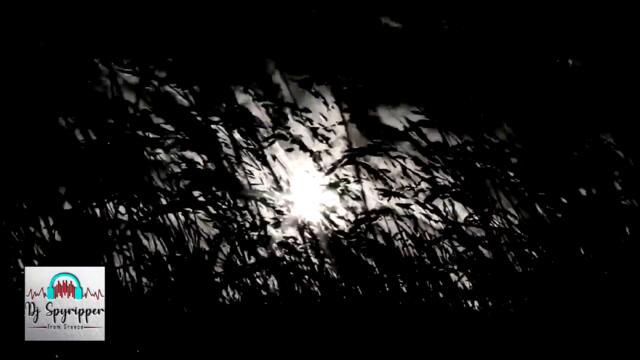 Anyma vs Goom Gum - Explore your future Aposch (Alpha Mystic mashup mix)