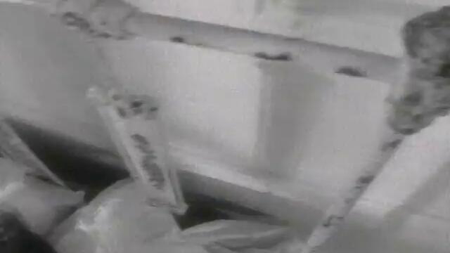 Morphine - Honey White (Official Music Video)