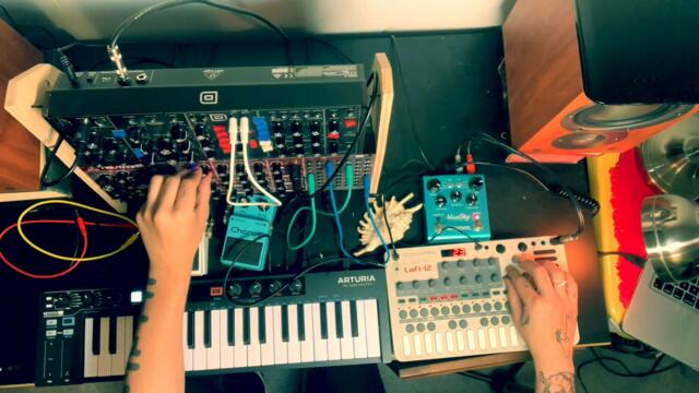 Live Polymetric Ambient Jam (Liven LOFI-12, Behringer Neutron, Model D)
