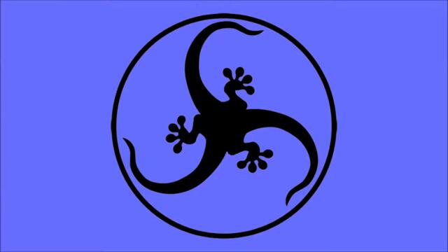 Banco de Gaia - Obsidian (The Light vs PFN Remix)