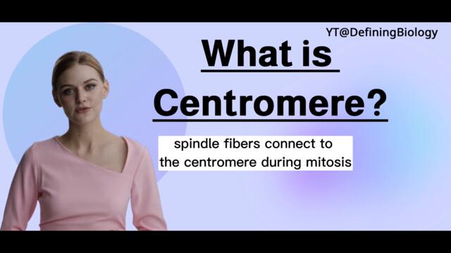 What is Centromere? | Biology Definitions