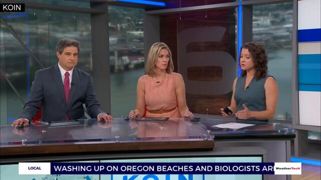 KOIN 6 Exclusive: La Mota owners react to Fagan resignation