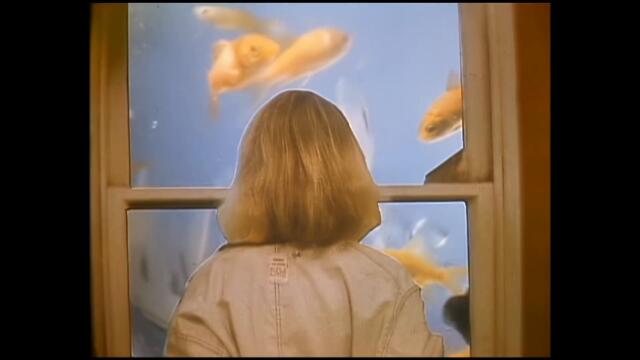 Blondie - The Tide Is High
